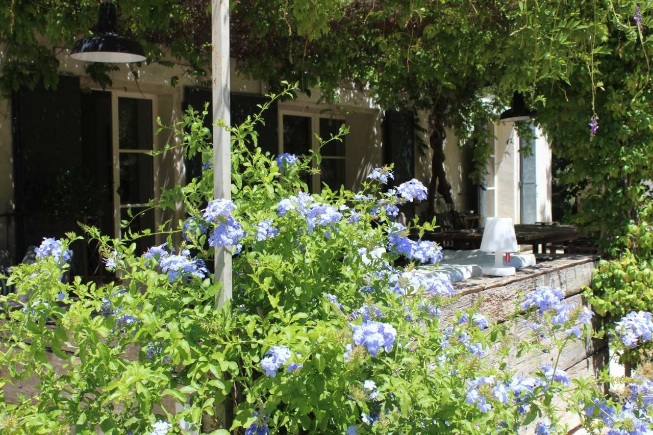 B&B Mas De Caustes Сен-Реми-де-Прованс Экстерьер фото